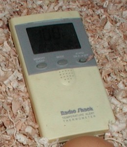 digital thermometer digital thermometer