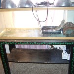 60 gallon tank 60 gallon tank