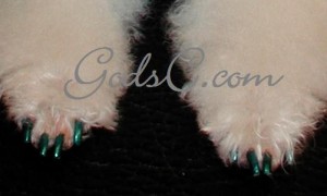 Tourmaline Doggy Nail Polish