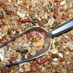 This is a good seed diet for Syrian Hamsters