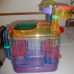 Syrian Hamster Cages
