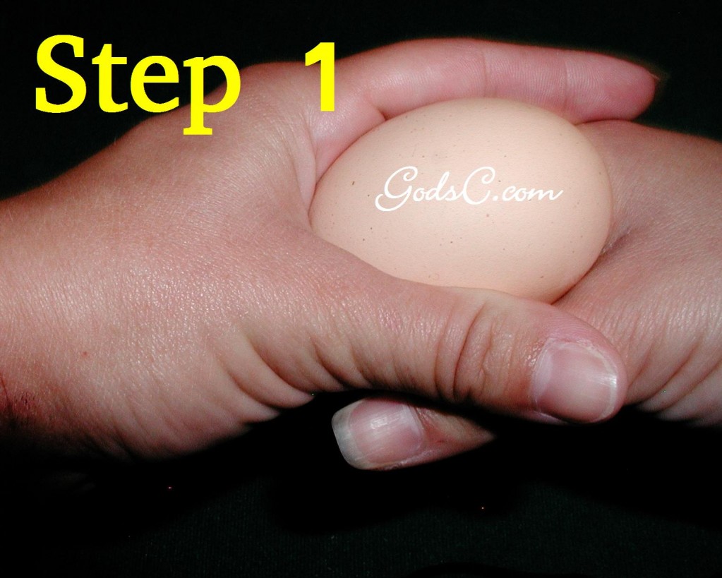 Step 1 Step 1