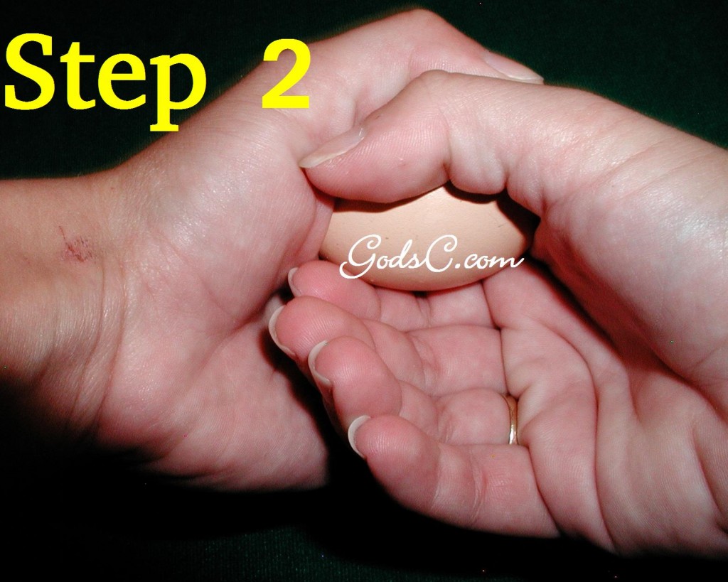 Step 2 Step 2