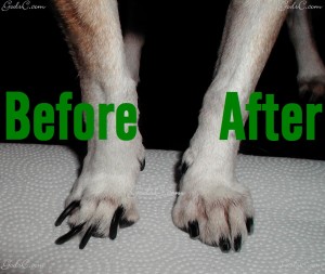Before and After trimming nails