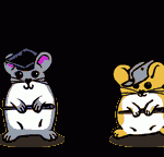 Hamsters