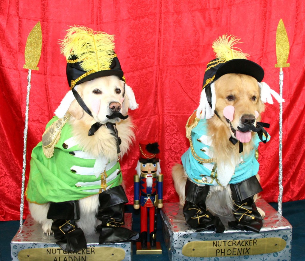 Pets Names: Aladdin & Phoenix