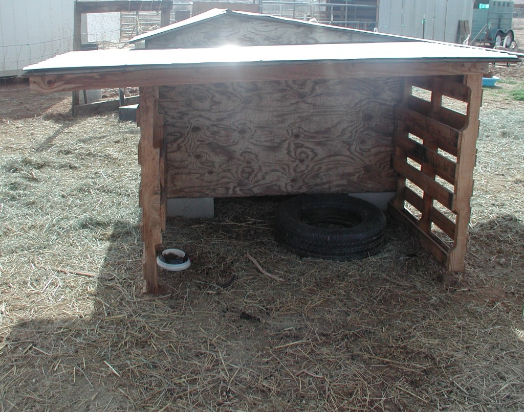 Goat Shelter Plans