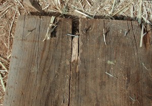 Nails in a board
