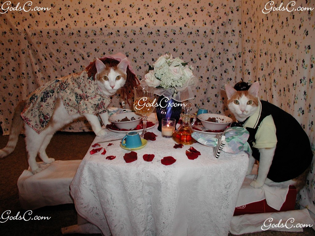 Two of my cats, Esther and Patrick eating dinner. 2007