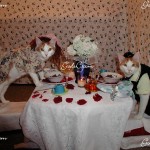 Two of my cats, Esther and Patrick eating dinner. 2007