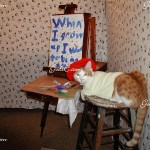 My very first cat Patrick 2007