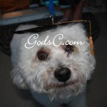 Cody at my graduation 2008
