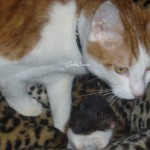 Patrick and Oliver 2008
