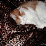 This is Esther, Patricks sister 2010