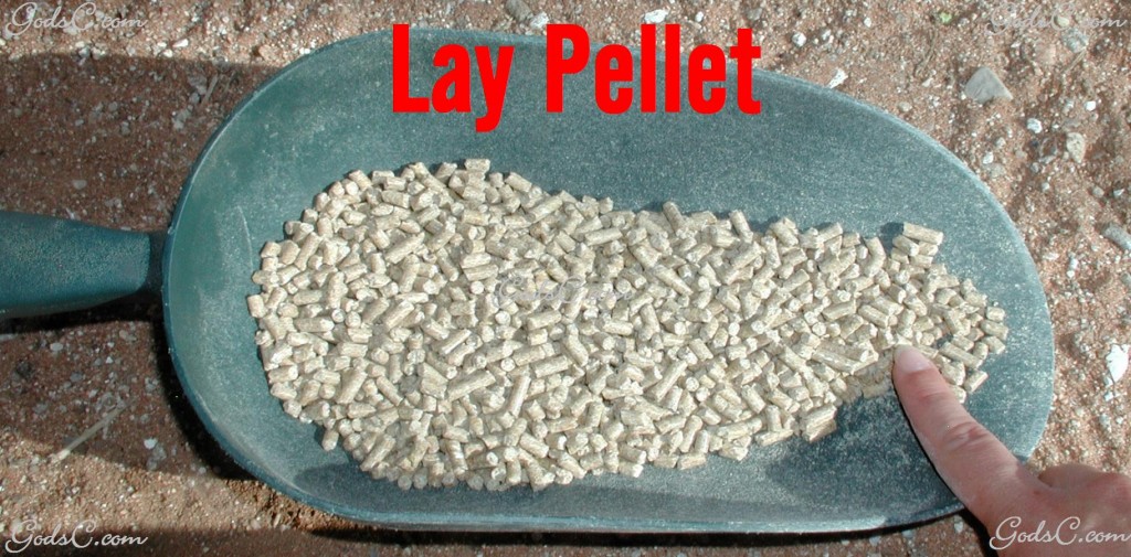 Lay Pellets