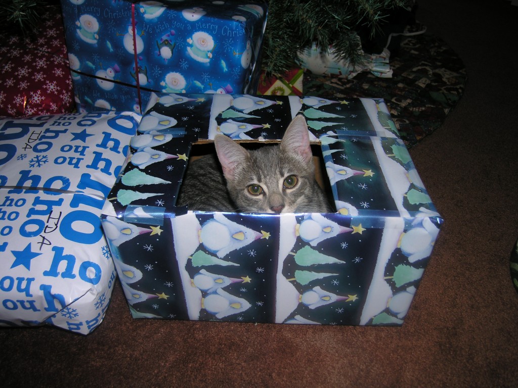 Pets Name: Emily