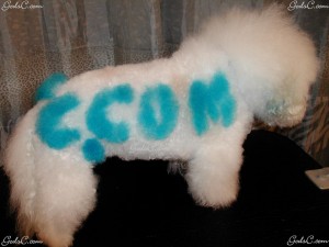 C.COM on Cody's right side