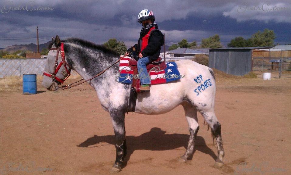 Photo of Smokey the horse during a riding lesson